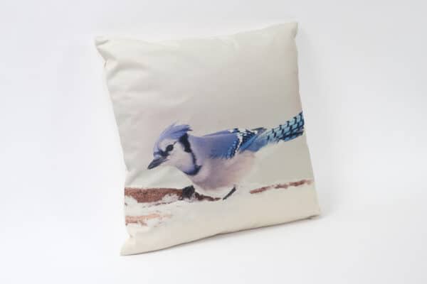 Blue jay Bird pattern balooworld-cushion-cover